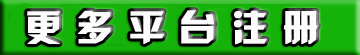 摩根平台主管